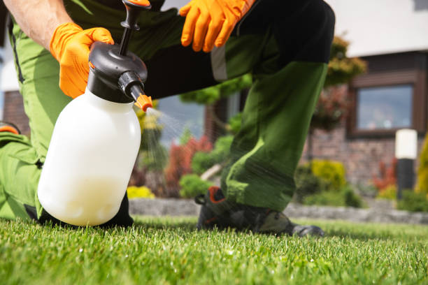 Best Bed Bug Extermination  in Baxter Springs, KS