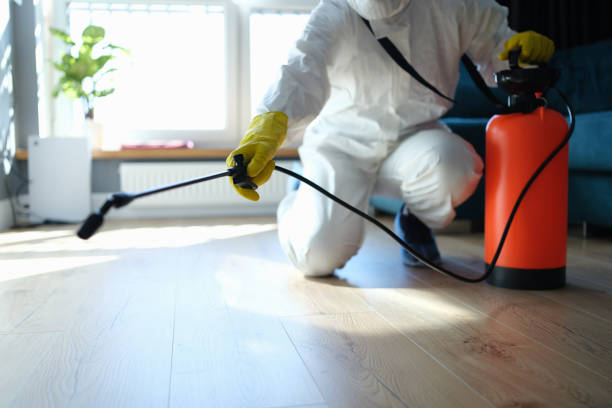 Best Termite Control Services  in Baxter Springs, KS