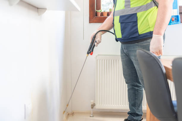 Best Ant Control Services  in Baxter Springs, KS