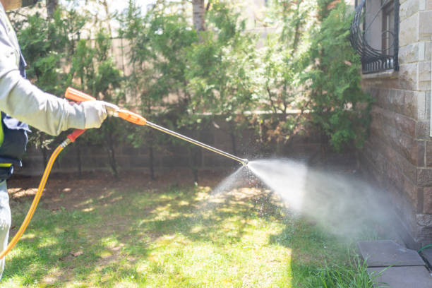 Best Local Pest Control Services  in Baxter Springs, KS