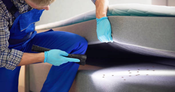 Best Pest Control Treatment  in Baxter Springs, KS