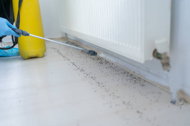 Best Best Pest Control Companies  in Baxter Springs, KS